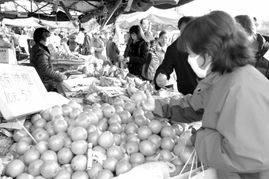 海淀市民的“果籃子”攻略 探訪食用農(nóng)產(chǎn)品批發(fā)市場